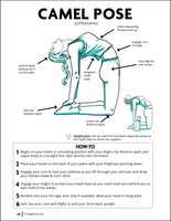The Yoga Pose Guide Bundle E-Book