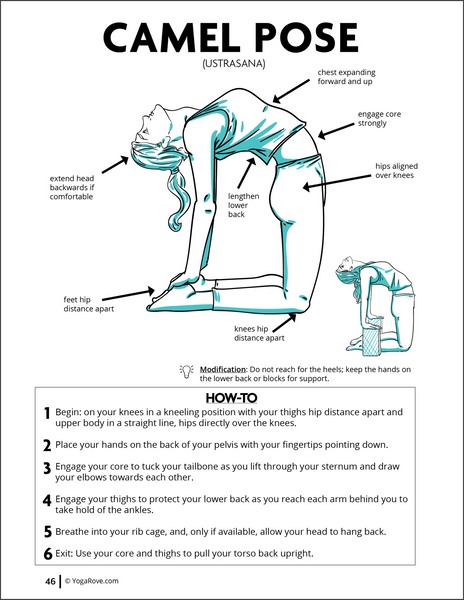 Full Body Yoga Workout – Free Printable PDF | Full body yoga workout, Yoga  sequences, Yoga fitness