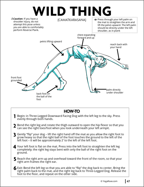Asanas In Yoga - Beginners Guide To Yoga Asanas And Poses